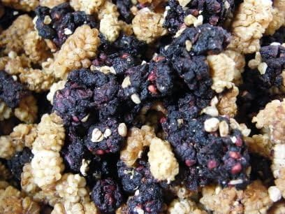 Chocolatree Black Mulberries 16 oz.