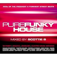 Pure Funky House