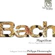 Bach : Magnificat / Cantates (Coffret 3 CD)