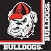 University of Georgia Bulldogs Party Supply Pack! Bundle Includes Paper Plates & Napkins for 8 Guests
