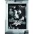 The Exterminating Angel - Criterion Collection