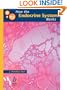 How the Endocrine System Works