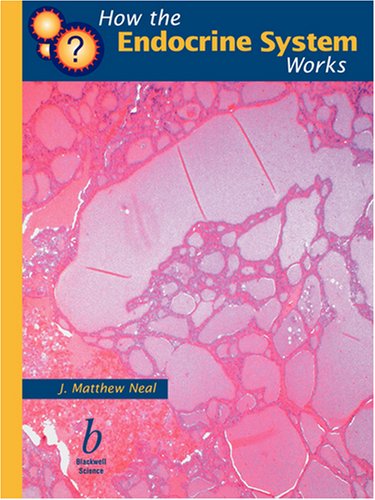 How the Endocrine System Works [Paperback]