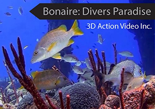 Bonaire: Divers Paradise (Travel Guide, Dive Guide, Dive)