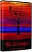 Tony Hawk, Birdhouse The Beginning Skateboard DVD