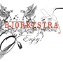 Enjoy! Bjorkestra