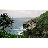 Last Wild Place: An Adventure Novel Set In New Guinea<br />
