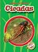 Book Cicadas (Blastoff Readers: World of Insects) (Blastoff Readers: World of Insects) (World of Insects: Blastoff! Readers 2)