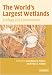 The World's Largest Wetlands: Ecology and Conservation