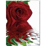Schipper 60 929 0475 - Malen nach Zahlen,  Reflections of a Rose, 60x80 cmvon "Noris"