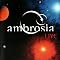 Ambrosia Picture 6