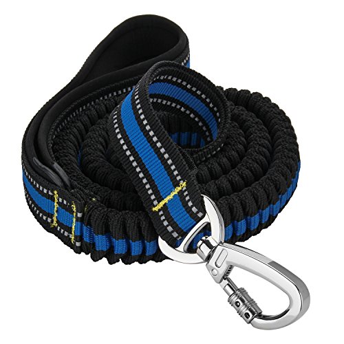 Dog Leash, Itery Reflective Training Bungee Leash Elastic Dog Pet Lead