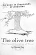 The Olive Tree: The Sweet Discipline of Trust