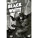 Batman: Black and White: v. 1 (Batman): Black and White v. 1