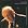 The Final Sessions