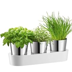 Auerhahn 3001-2506 Herbs@Home Kr�utergarten
