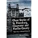 Ghost Stories of St. Petersburg, Clearwater and Pinellas County: Tales From a Haunted Peninsula (Haunted American)