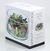 Kitchen & Housewares : Artland Simplicity Salad Bowl