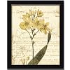 Floral Studies Ii Botanical Yellow Flower By Phillippa Collection Art Print Poster Picture Framed Decor 10X12
