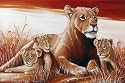 Poster Löwenfamilie - Größe 61 x 91,5 cm - Maxiposter