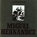 Miguel Hernandez