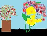 The Flower Show