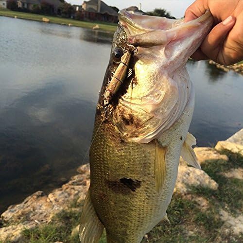 Aqua Relic Minnow - Ironcolor Shiner