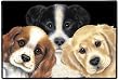 Peeping Puppies Puppy Dog Sue Hall Doormat Door Mat Rug