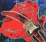 Toad The Wet Sprocket Falldown 1991 UK CD single 6603682