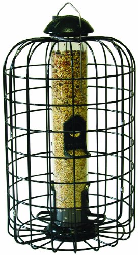 Stokes Select 38002 Squirrel Tube Feeder