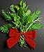 ALLO Botanicals Fresh Large Real Mistletoe Christmas Holiday Kissing Decoration with California Redwood and Rosemary in Gift Bag