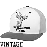 NBA Mitchell & Ness Milwaukee Bucks Greytones Snapback Adjustable Hat