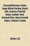 Charadriiformes Introduction: Long-Billed Curlew, Black Stilt, Greater Painted Snipe, Godwit, Red-Necked Stint, New Zealand Snipe-
