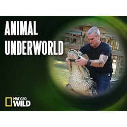 Animal Underworld Season 1