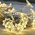 30er LED Lichterkette warmwei�, Sonnenblumen