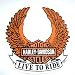 Harley Davidson~ Harley Davidson Sticker~ Approx 4.75