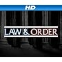 Law & Order Season 20 [HD]