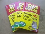 The Big Cheese STV182 Mouse Glue Trap 2 pack x 3