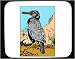 Mouse Pad with booby, seabird, egg, bird, gray, beach