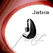 Jabra BT5020 Bluetooth Headset 100-95020210-60