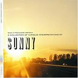 Sunny 1