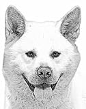 Akita Dog 8x10 Art Print Drawing Signed Laroux