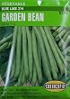 Pole Beans Blue Lake Stringless Seeds