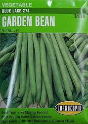 Pole Beans Blue Lake Stringless Seeds