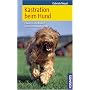 Kastration beim Hund: Chancen und Risiken - eine Entscheidungshilfe