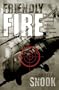 Friendly Fire: The Accidental Shootdown of U.S. Black Hawks over Northern Iraq