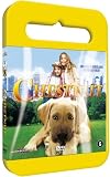 Chestnut [DVD] [Region 2] [EU Import] [PAL]
