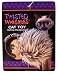 Pet Supplies : Twisted Whiskers Catnip Hedgehog Cat Plush Toy