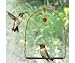Songbird Essentials Copper Hummingbird Swing SEHHHUMS