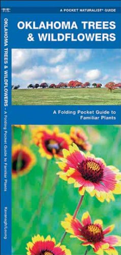 oklahoma trees and wildflowers  an introduction to familiar species pocket naturalist waterford press pocket